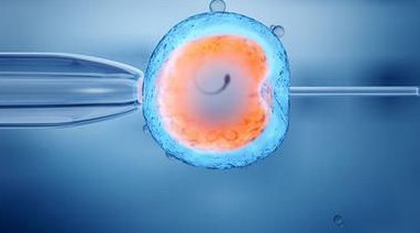 2026年艾滋病患者可以去南京市妇幼做三代试管吗？大概需要花费多少钱？