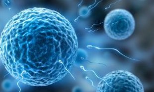 西安生孩子的试管医院有哪些？西安试管生孩子费用