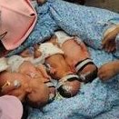 卵巢早衰试管成功率高吗？哪三类人适合做试管婴儿