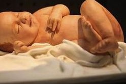 南宁市哪里有试管助孕_助孕服务分阶段收费_三代试管是否可以成功