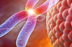 潍坊民办机构试管婴儿价格公布中标率最？